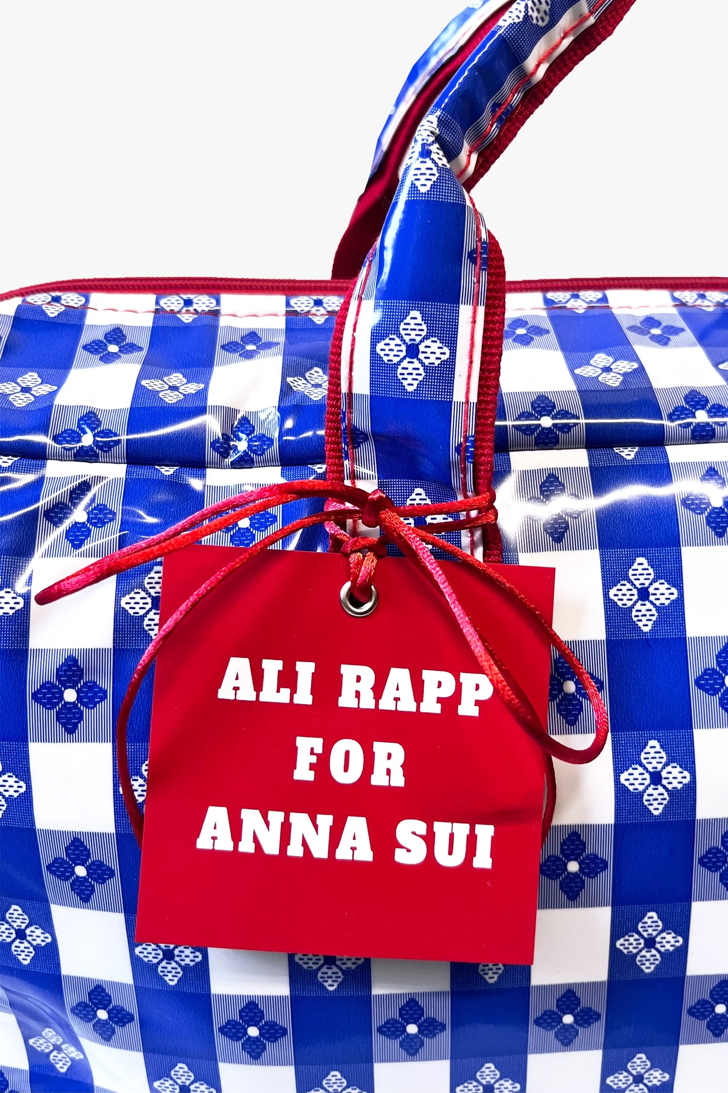 Ali Rapp for Anna Sui Large Summer Picnic Bag - Image 5