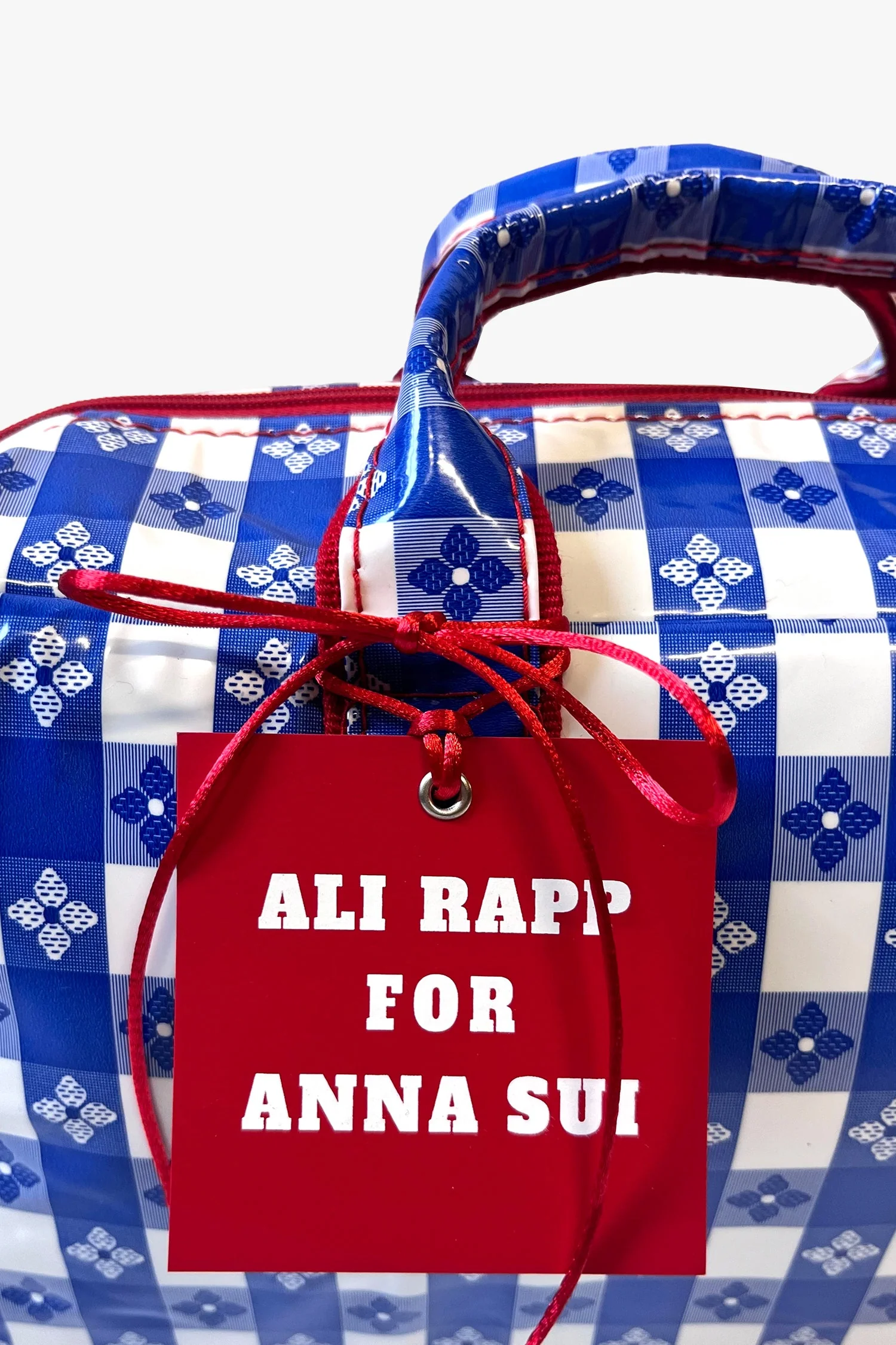 Ali Rapp for Anna Sui Medium Summer Picnic Bag - Image 5
